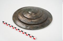 Foto von Bronzephalere (NHMW-PRAE-025640)